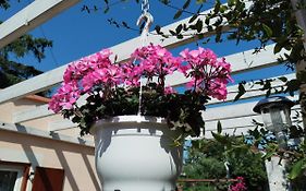 Apartments Anica